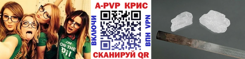 A PVP СК КРИС  Елабуга 