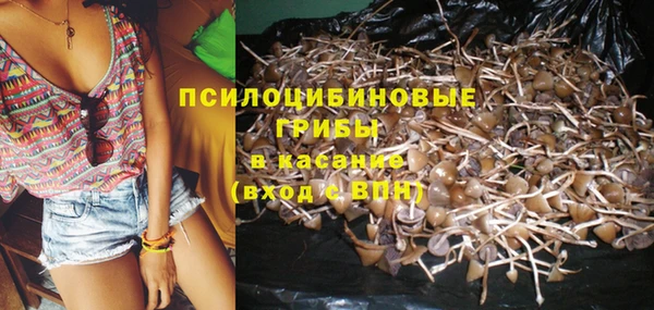 стаф Вязники