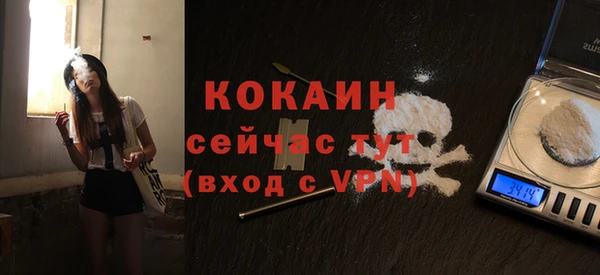 шишки Горно-Алтайск