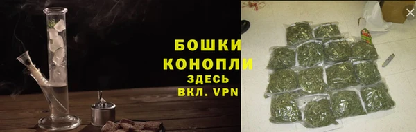 твердый Горнозаводск