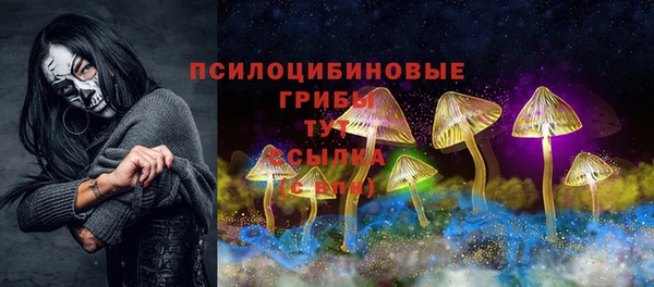 твердый Горнозаводск
