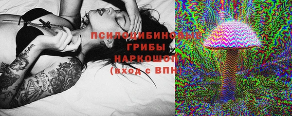 шишки Горно-Алтайск
