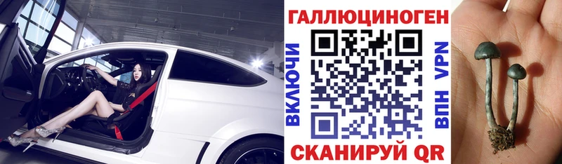 kraken зеркало  Елабуга  Псилоцибиновые грибы Magic Shrooms 
